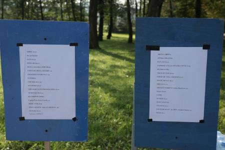 Mirna, 10 dobrodelni Trimmigo, sponzorji in donatorji, foto Pep (1)